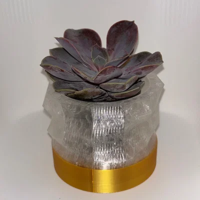 Chậu Succulent Faceted Gold & Crystal – bản nhỏ hơn, họa tiết khác