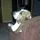 KenLee_3449716