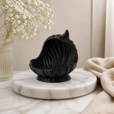 Khay Đựng Trang Sức Vỏ Sò Thanh Lịch (Elegant Shell Jewelry Holder)