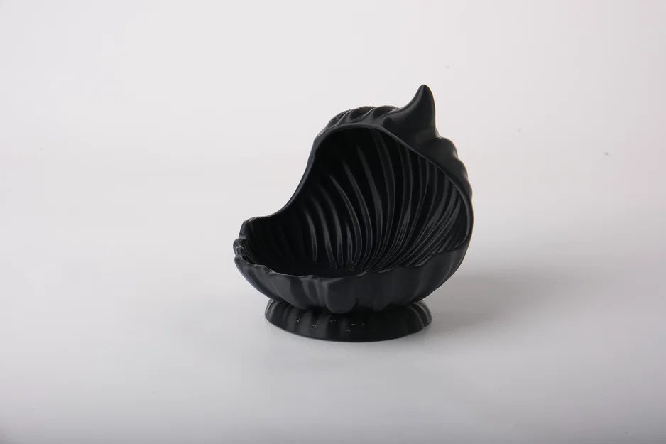 Khay Đựng Trang Sức Vỏ Sò Thanh Lịch (Elegant Shell Jewelry Holder) - Image 2