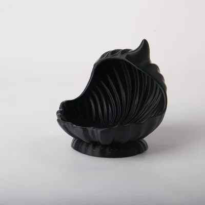 Khay Đựng Trang Sức Vỏ Sò Thanh Lịch (Elegant Shell Jewelry Holder)