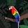 GaborGunda_329650