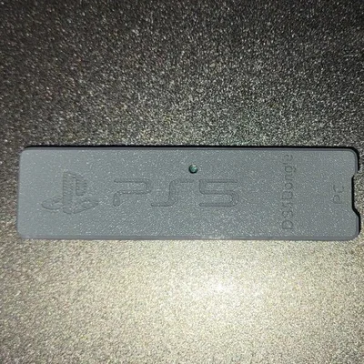 Vỏ bảo vệ 3D cho DS5Dongle Pico2w - Bền bỉ và tinh tế