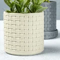 Chậu Cây Vân Đan Woven Planter - Thumbnail 1