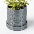 Chậu Cây Vân Đan Woven Planter - Thumbnail 2