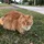 MichaelBrenn_3578214
