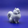 Tượng Pomeranian Stylized (Chibi) In 3D - Thumbnail 2