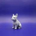 Tượng French Bulldog (French bulldog figurine) in 3D - Thumbnail 2