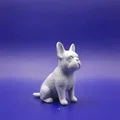 Tượng French Bulldog (French bulldog figurine) in 3D - Thumbnail 3