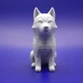 Người Bạn Mùa Đông Tí Hon: Chibi Husky - Thumbnail 1