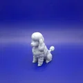 Tượng Poodle Kiêu Hãnh (Proud Poodle Figurine) - Thumbnail 3