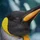 AtomicPengu_3083079