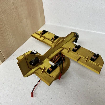 Dummy Plane (Máy bay RC giả lập)