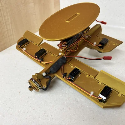Dummy Plane (Máy bay RC giả lập)