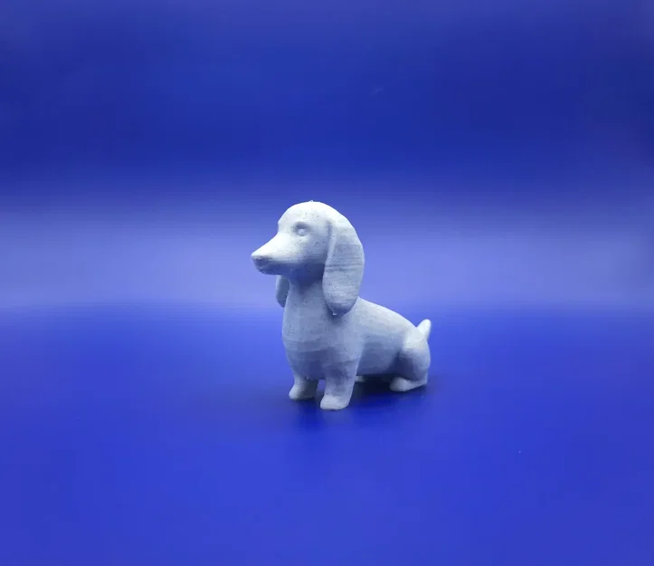 The Long & Low Companion – Chú chó lạp xưởng chibi dễ thương - Image 2
