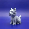 The Dapper Little Terrier: A Chibi Yorkie – Chó Yorkie Chibi Lịch Lãm - Thumbnail 3