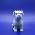 Bé Boxer Chibi Mập Ú: “The Chunky Charmer” - Thumbnail 1