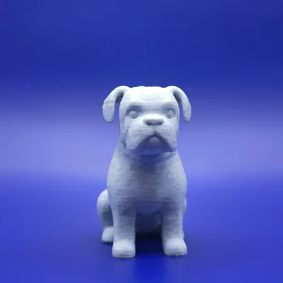 Bé Boxer Chibi Mập Ú: “The Chunky Charmer”