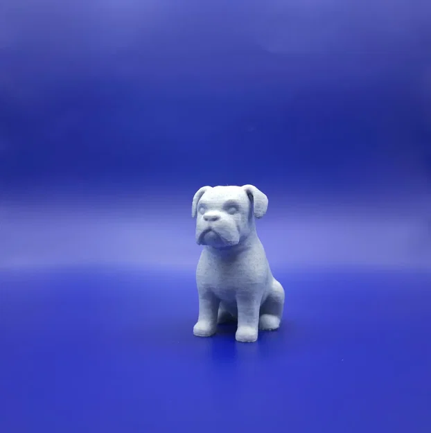 Bé Boxer Chibi Mập Ú: “The Chunky Charmer” - Image 2