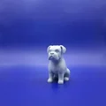 Bé Boxer Chibi Mập Ú: “The Chunky Charmer” - Thumbnail 2