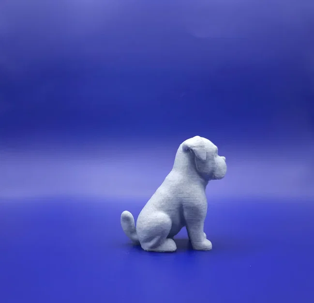 Bé Boxer Chibi Mập Ú: “The Chunky Charmer” - Image 3