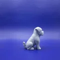 Bé Boxer Chibi Mập Ú: “The Chunky Charmer” - Thumbnail 3