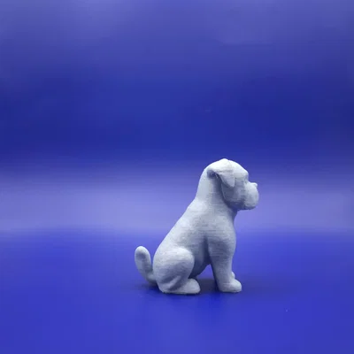 Bé Boxer Chibi Mập Ú: “The Chunky Charmer”