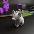 Kẻ Nhặt Nhạnh Ngọt Ngào Ở Thảo Nguyên (The Sweet Savanna Scavenger) - Thumbnail 1