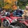 Dcsolace_1131346