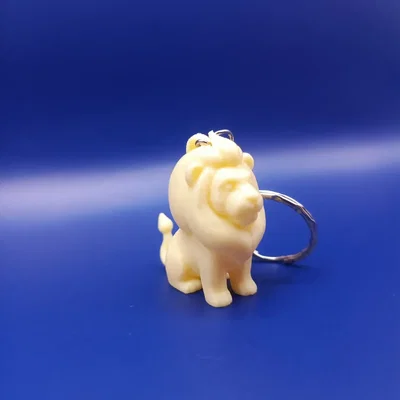 The King of Your Keys – Vua của Chùm Chìa Khóa