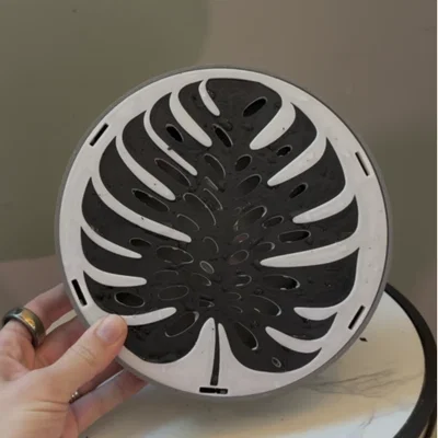 Khay Hứng Nước & Tạo Ẩm Lá Monstera