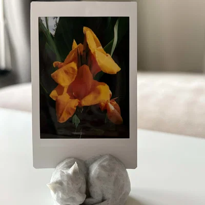 Giá đỡ ảnh hình chú mèo ngủ low poly siêu đáng yêu
