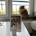 Mô hình chú mèo ngồi giữ ảnh (Sitting cat) phong cách Low Poly - Thumbnail 1