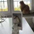Mô hình chú mèo ngáp giữ ảnh để bàn siêu dễ thương - Thumbnail 1