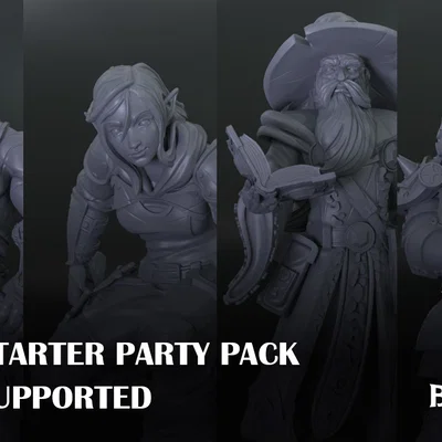 Bộ D&D Starter Party Pack: 4 Miniature Anh Hùng (Presupported) - Fantasy RPG Set