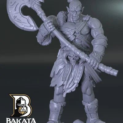 Bộ D&D Starter Party Pack: 4 Miniature Anh Hùng (Presupported) - Fantasy RPG Set