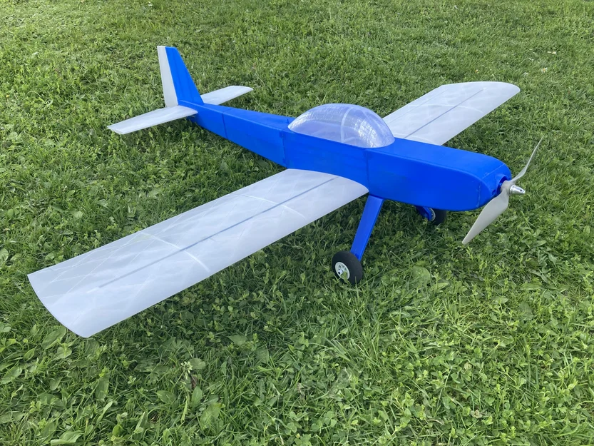 Máy bay RC Charliet bay thể thao & nhào lộn – in 3D - Image 1