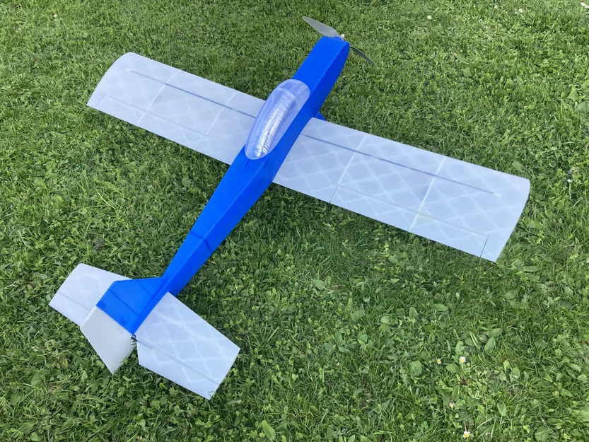 Máy bay RC Charliet bay thể thao & nhào lộn – in 3D - Image 2
