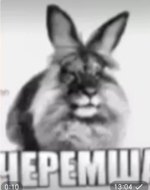Mô hình in 3D Chú Thỏ Meme (Cheremsha-mem) độc đáo để bàn - Image 1