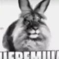 Mô hình in 3D Chú Thỏ Meme (Cheremsha-mem) độc đáo để bàn - Thumbnail 1