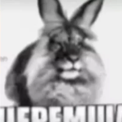 Mô hình in 3D Chú Thỏ Meme (Cheremsha-mem) độc đáo để bàn