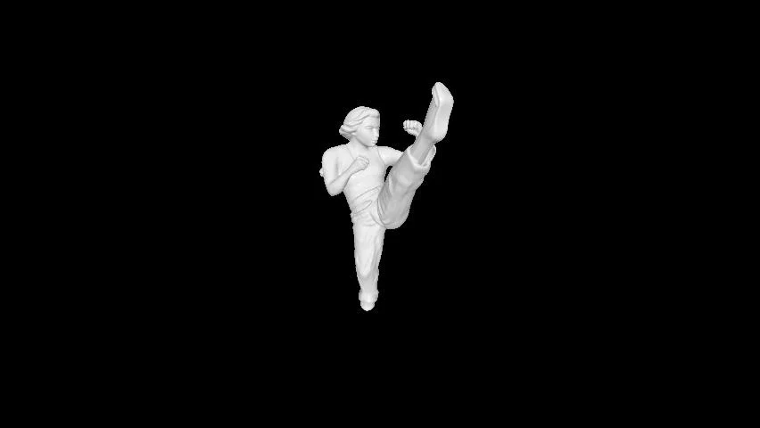 Mô hình 3D nữ võ sĩ Women Kick ấn tượng cho in 3D - Image 1