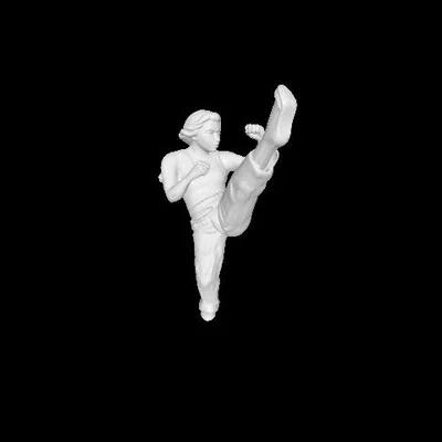 Mô hình 3D nữ võ sĩ Women Kick ấn tượng cho in 3D