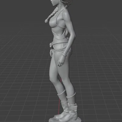 Summer CowGirl