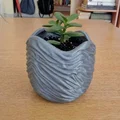 Chậu Cây Zen Gợn Sóng Wavy Ripple – Chậu Hoa Texture Hiện Đại - Thumbnail 1