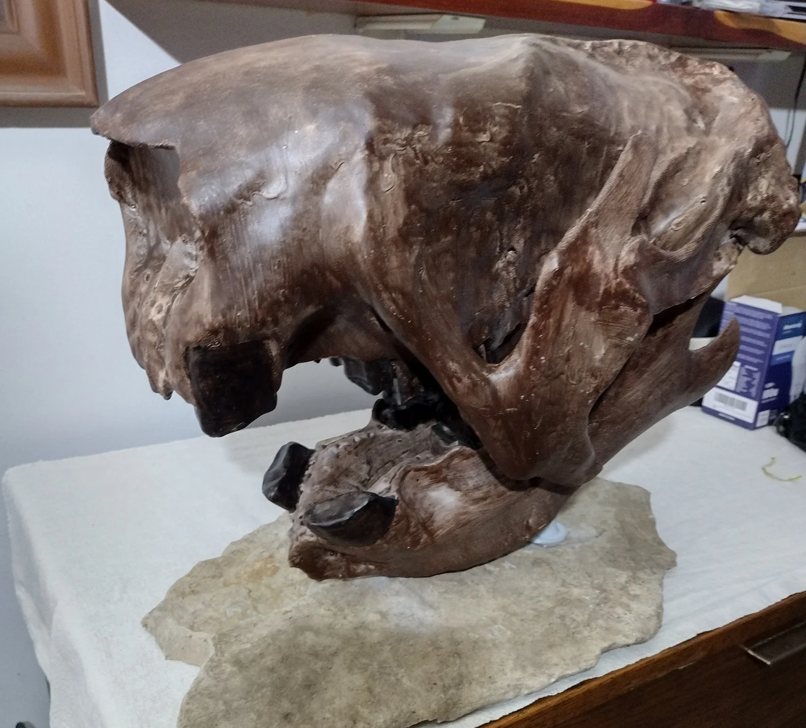 Lười đất khổng lồ (Megalonyx jeffersonii) – Sọ và hàm phục… 1