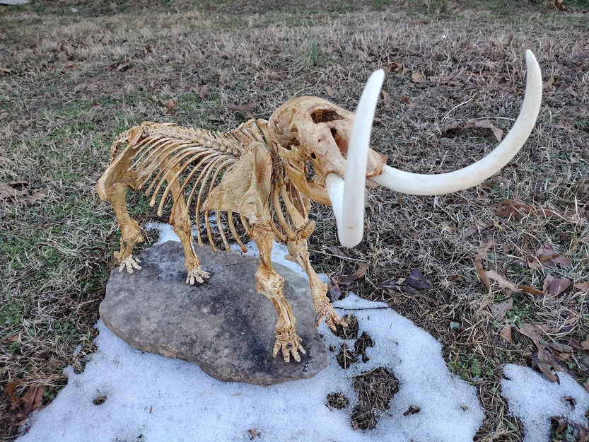 American Mastodon (Mammut americanum) – model từ dữ liệu scan - Image 1