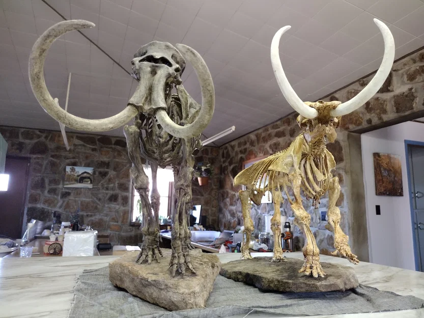 American Mastodon (Mammut americanum) – model từ dữ liệu scan - Image 6