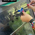 Bộ dụng cụ hỗ trợ chấm sơn ngăn chim đâm vào cửa sổ - Thumbnail 6