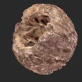 Bản quét 3D quả óc chó (Walnut 3D Scan) - Thumbnail 1